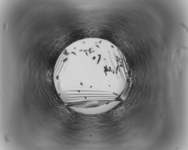 X0000097821010200804111010