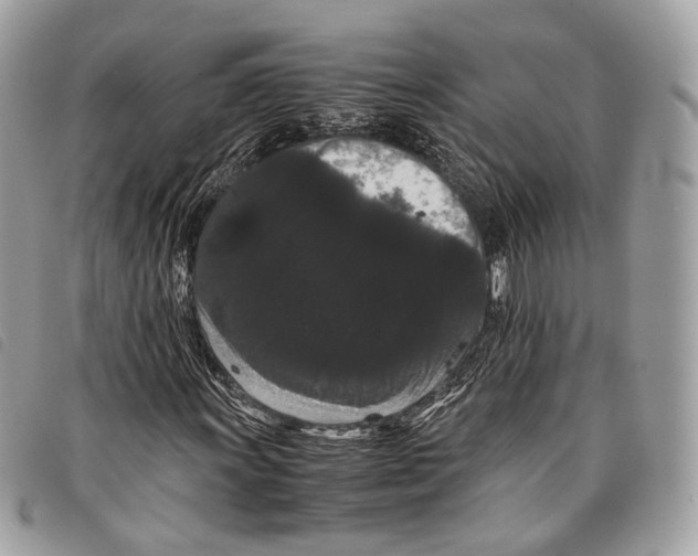 X0000097821011200804111010