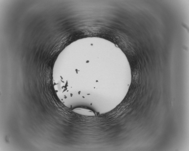 X0000097821012200804111010