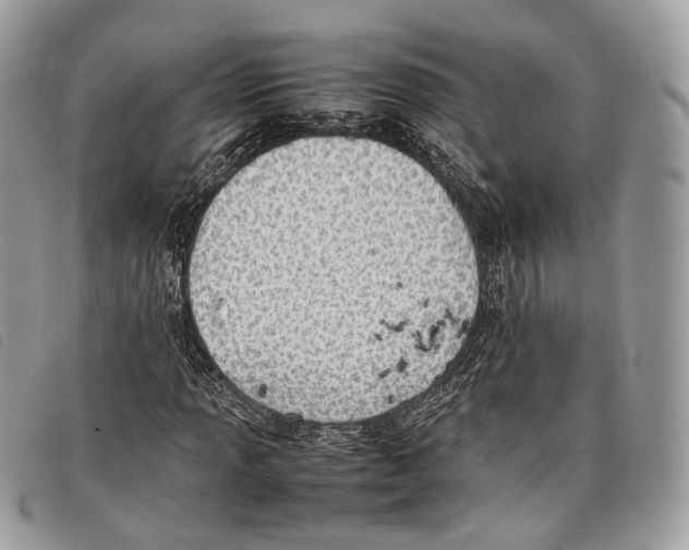 X0000097821013200804111010