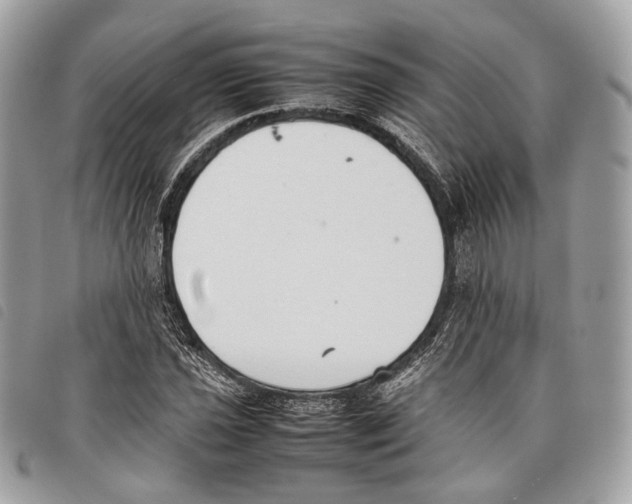 X0000097821021200804111010