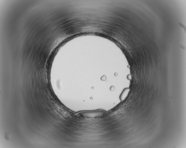 X0000097821022200804111010