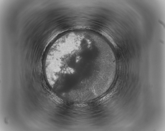 X0000097821023200804111010