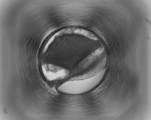 X0000097821024200804111010