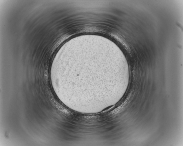 X0000097821025200804111010