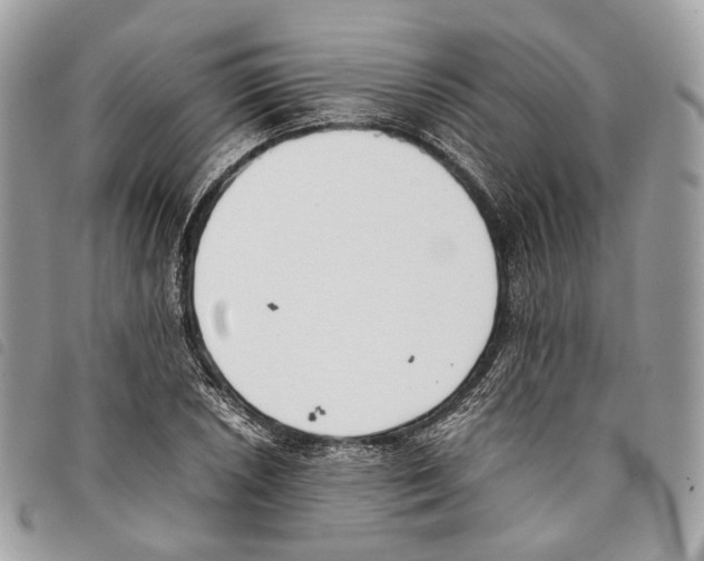 X0000097821026200804111010