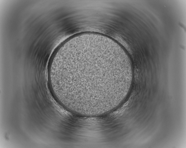 X0000097821028200804111010