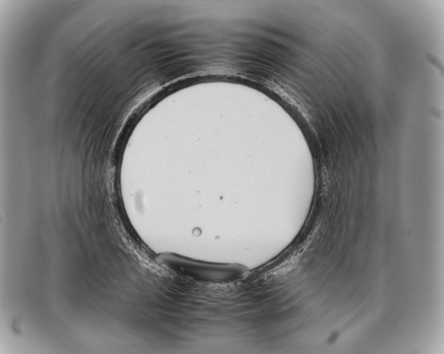 X0000097821029200804111010