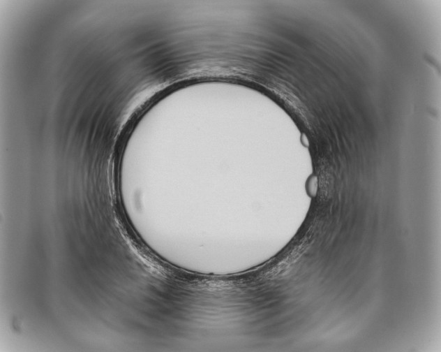 X0000097821030200804111010