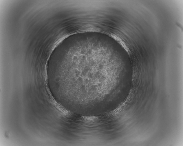 X0000097821031200804111010