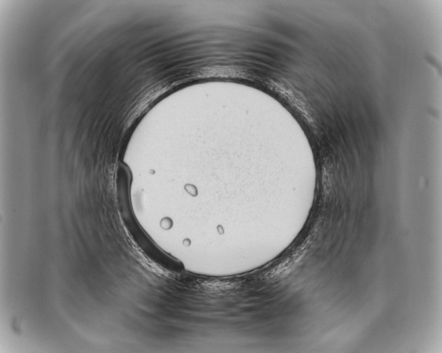 X0000097821033200804111010