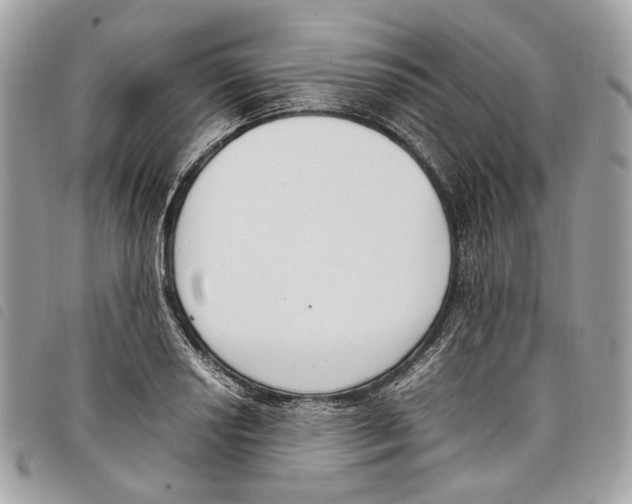 X0000097821034200804111010