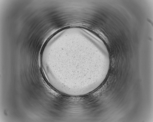 X0000097821036200804111011