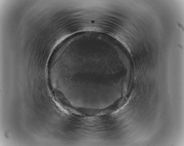 X0000097821037200804111011