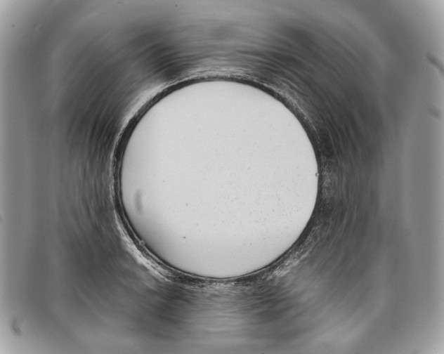 X0000097821038200804111011