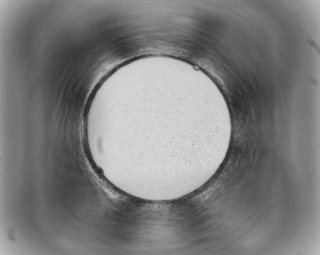 X0000097821040200804111011