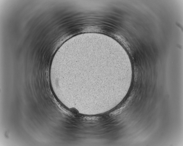 X0000097821041200804111011