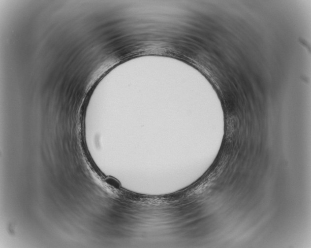 X0000097821042200804111011