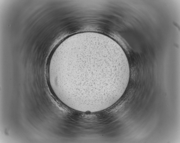 X0000097821043200804111011