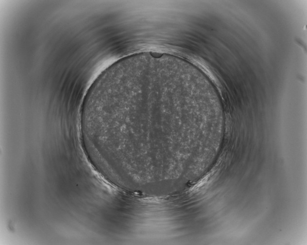 X0000097821048200804111011