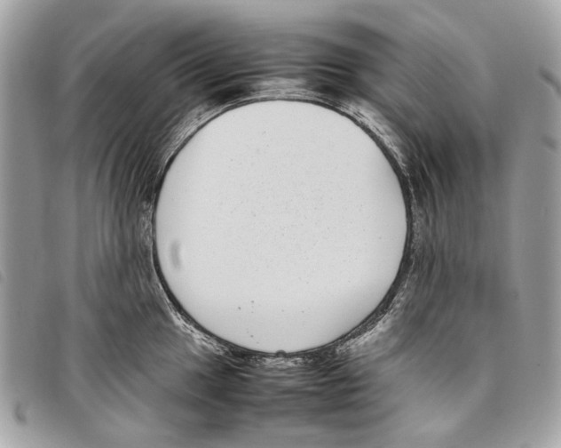 X0000097821049200804111011