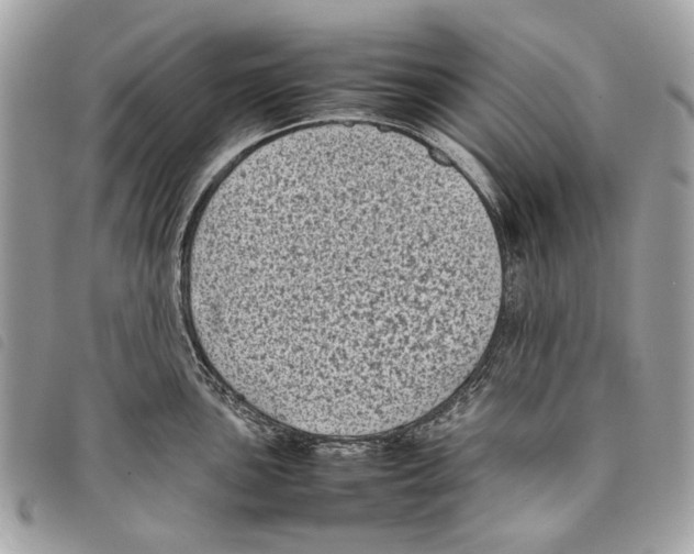 X0000097821051200804111011