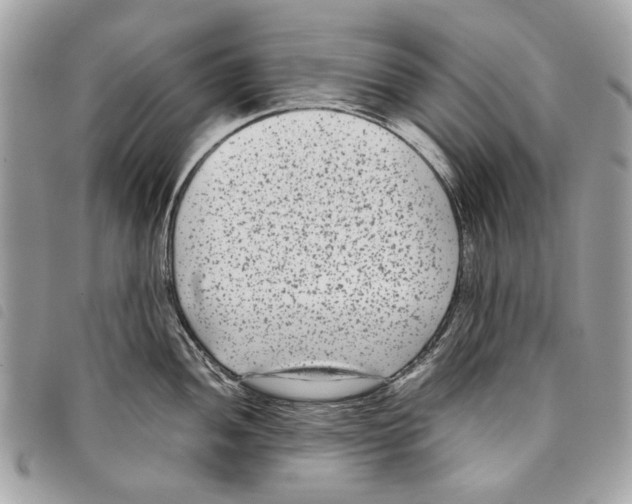 X0000097821052200804111011