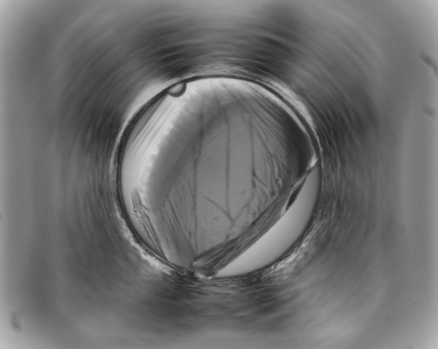 X0000097821053200804111011