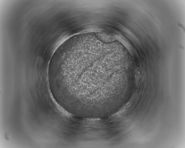 X0000097821055200804111011