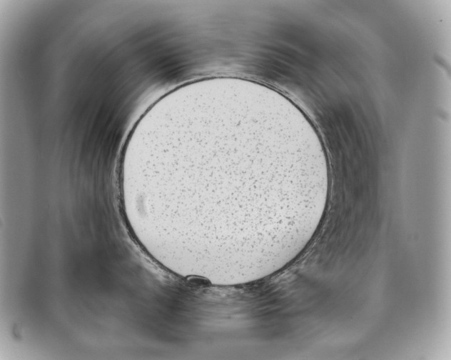 X0000097821056200804111011