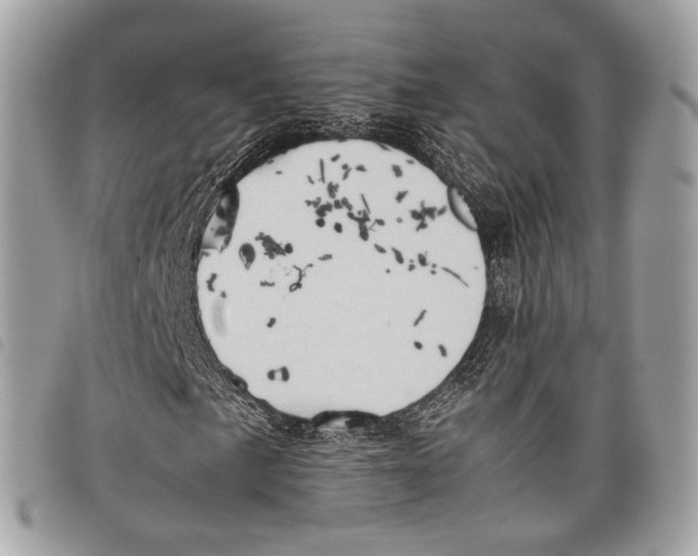 X0000097821057200804111010