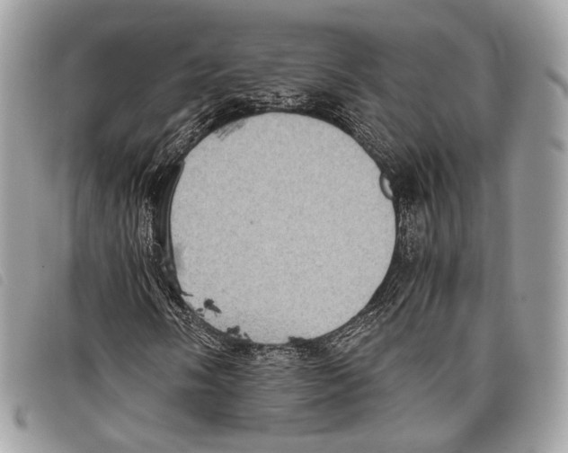 X0000097821058200804111010