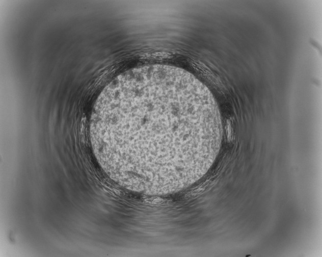 X0000097821059200804111010