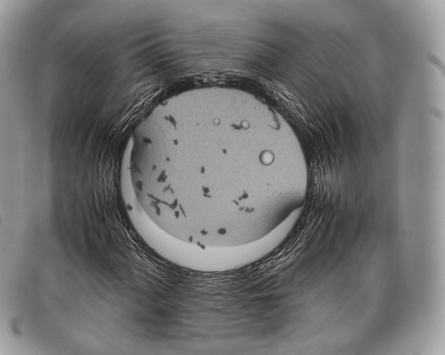 X0000097821060200804111010