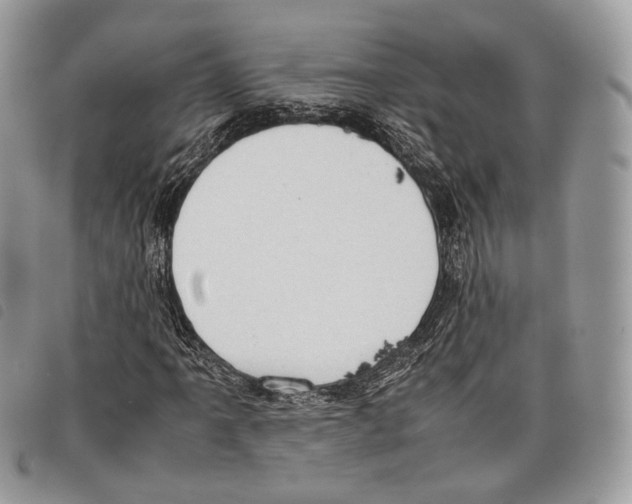 X0000097821061200804111010