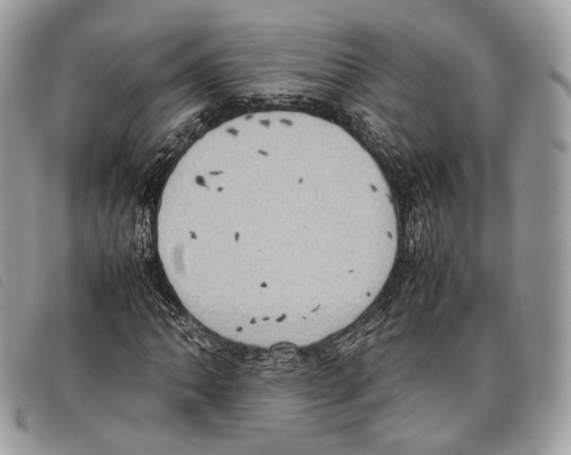 X0000097821062200804111010