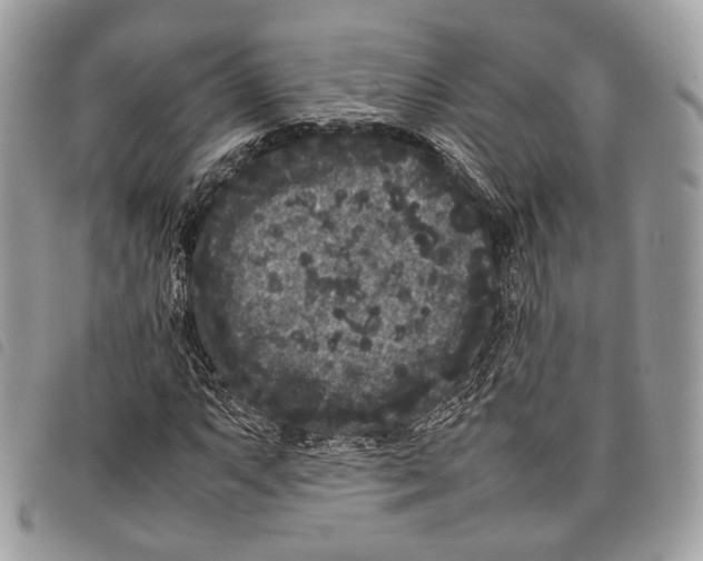 X0000097821063200804111010