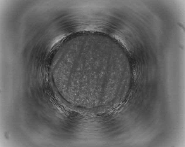 X0000097821064200804111010