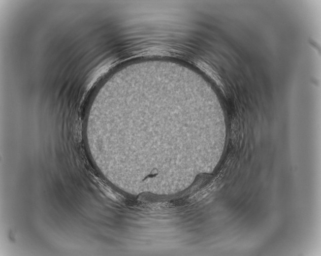 X0000097821067200804111010