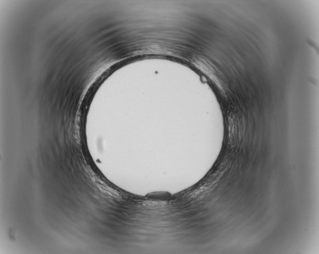 X0000097821068200804111010