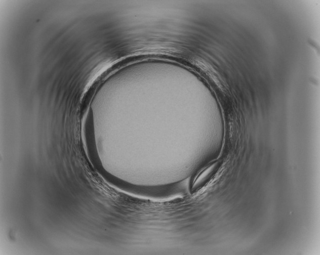 X0000097821069200804111010