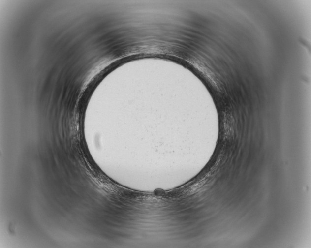 X0000097821070200804111010