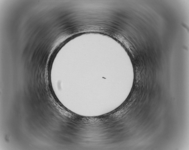 X0000097821072200804111010