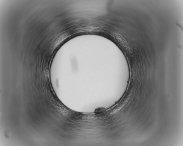 X0000097821073200804111010