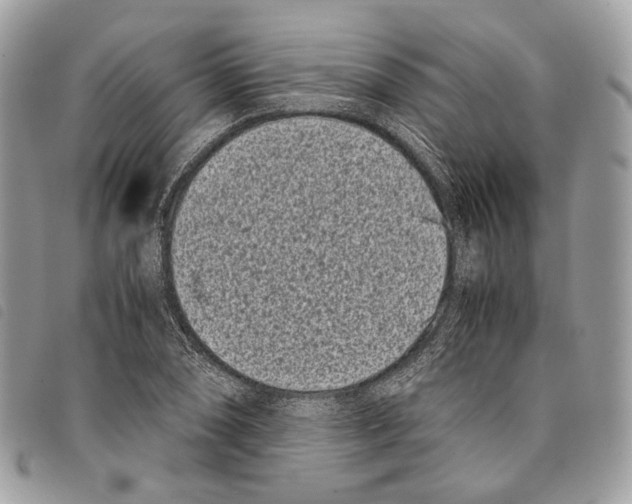 X0000097821074200804111010