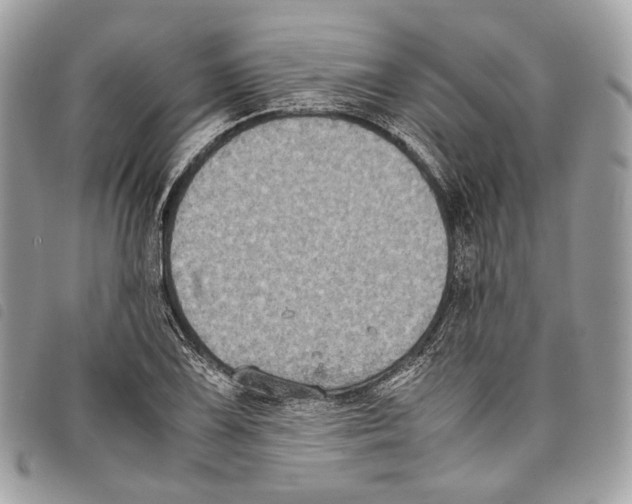 X0000097821075200804111010