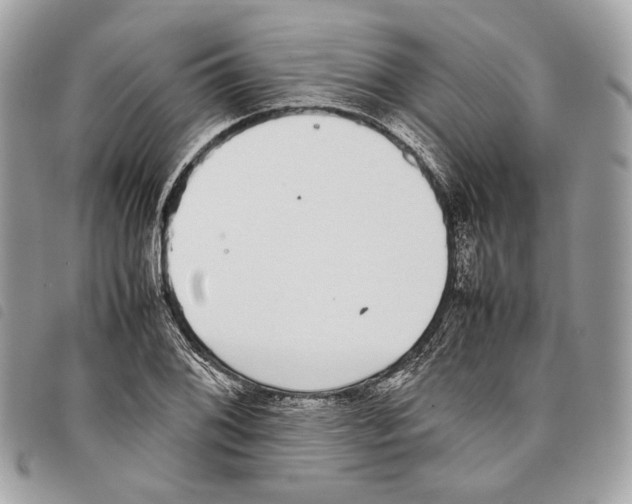 X0000097821076200804111010