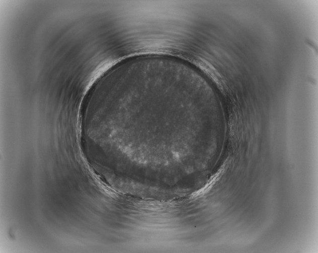 X0000097821077200804111010