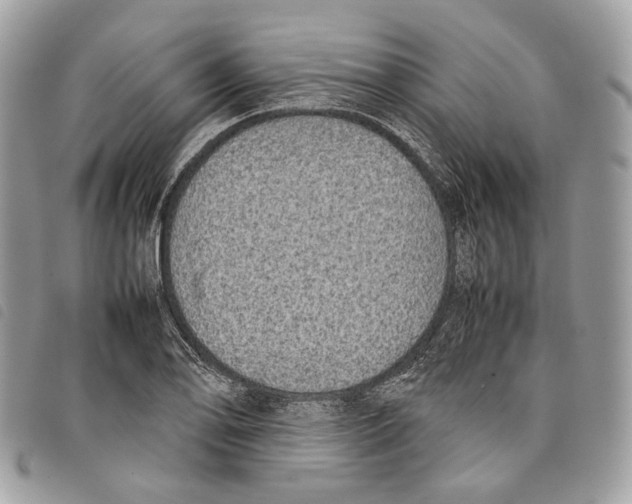 X0000097821078200804111010