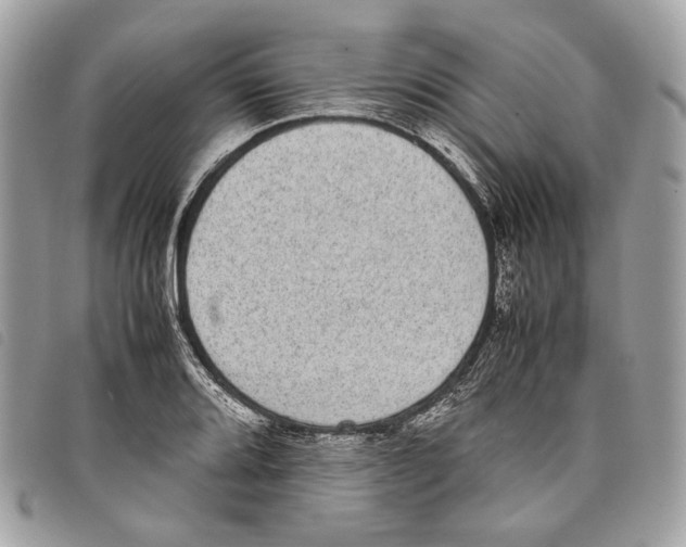 X0000097821080200804111010